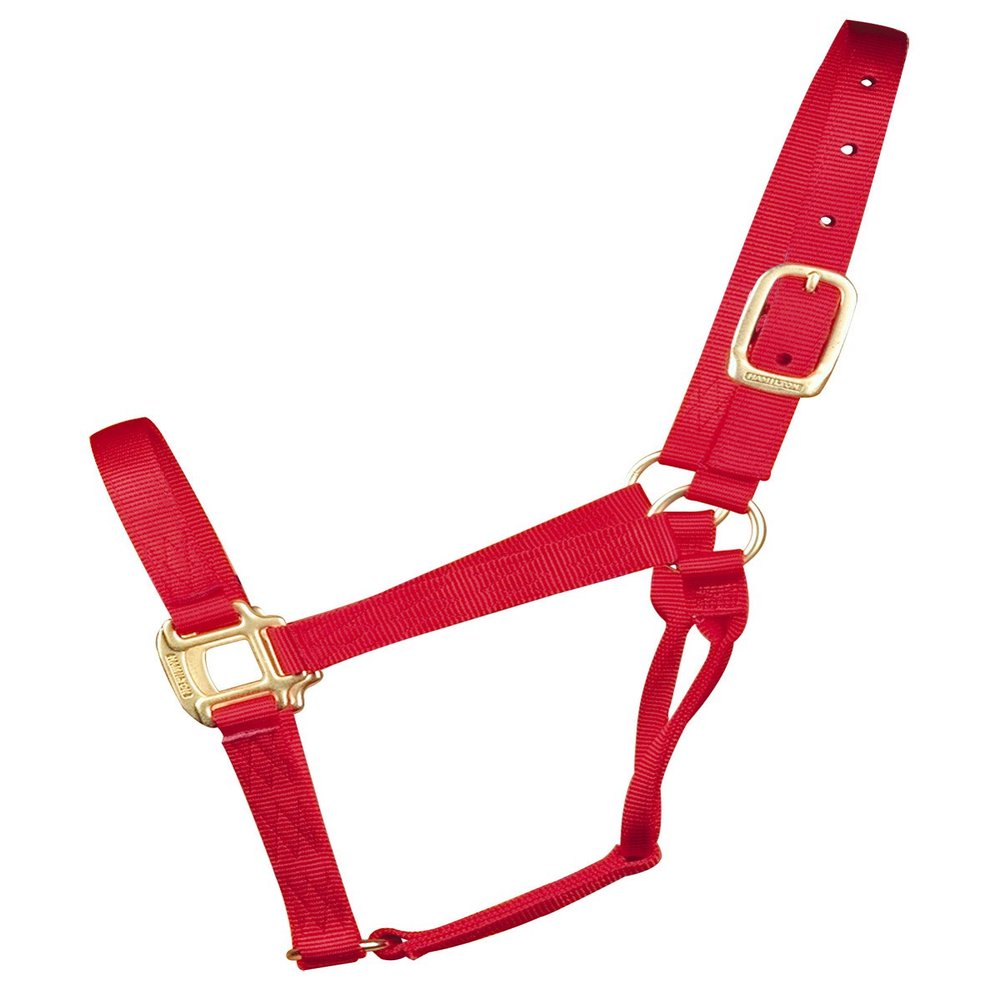 Halter Qlty Econo Red