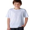 Gildan Dryblend Youth Tee (Ash) (L) view 1