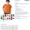Gildan Dryblend Youth Tee (Ash) (L) view 2