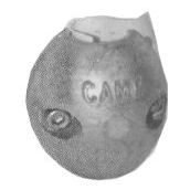 CAMP AIRCRAFT PARTS Shaft ZINC 1 1/8"