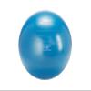 Gymnic Classic Plus Burst-Resistant Exercise Ball, Blue (65 cm) view 1
