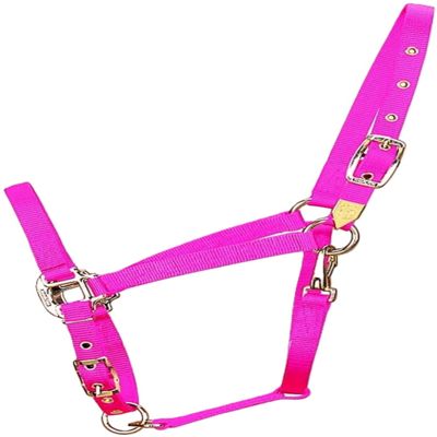 Hamilton Deluxe Horse Halter, 1" Triple Ply Nylon, Adjustable Chin Strap, Easy On/Off Throat Snap, Average Horse, Arabian, or Yearling Draft, 800-1100 lbs, Hot Pink