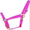 Hamilton Deluxe Horse Halter, 1" Triple Ply Nylon, Adjustable Chin Strap, Easy On/Off Throat Snap, Average Horse, Arabian, or Yearling Draft, 800-1100 lbs, Hot Pink view 1