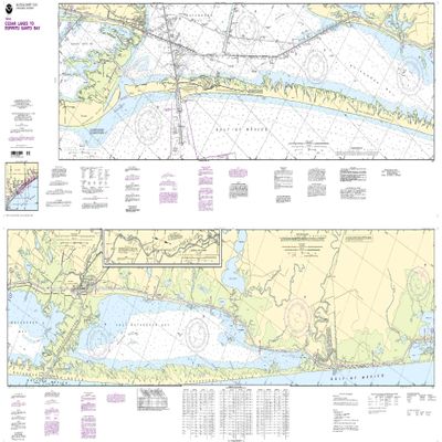 11319--Intracoastal Waterway - Cedar Lakes to Espiritu Santo Bay