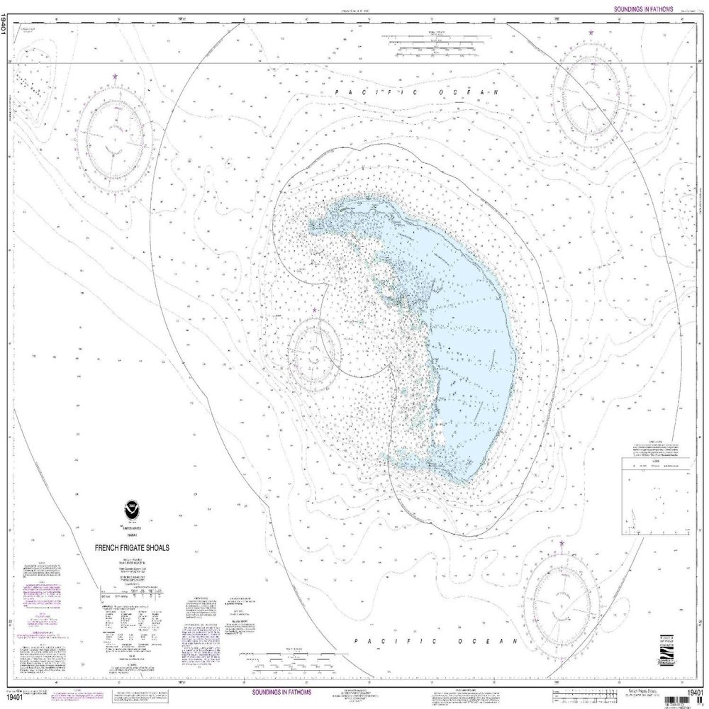 19401--French Frigate Shoals
