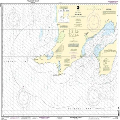 16305--Bristol Bay - Cape Newenham and Hagemeister Strait