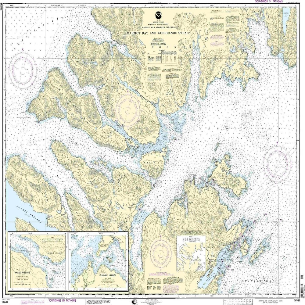 16594-Kodiak Island - Marmot Bay and Kupreanof Strait, Whale Passage, Ouzinkie Harbor