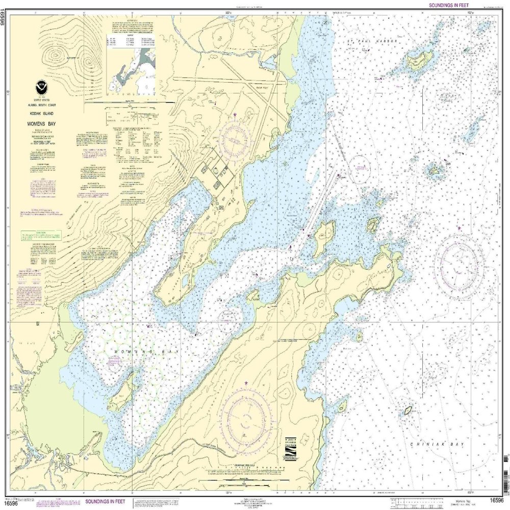 16596--Kodiak Island - Womens Bay