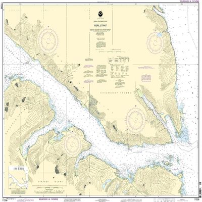 17338-Peril Strait - Hoonah Sound to Chatham Strait