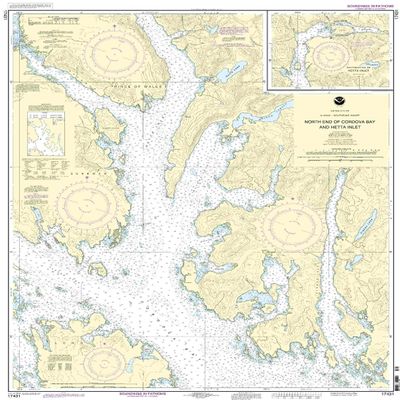 17431--N. end of Cordova Bay and Hetta Inlet