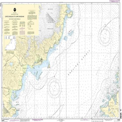 16608--Shelikof Strait - Cape Douglas to Cape Nukshak
