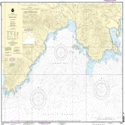 16431--Attu Island - Temnac Bay