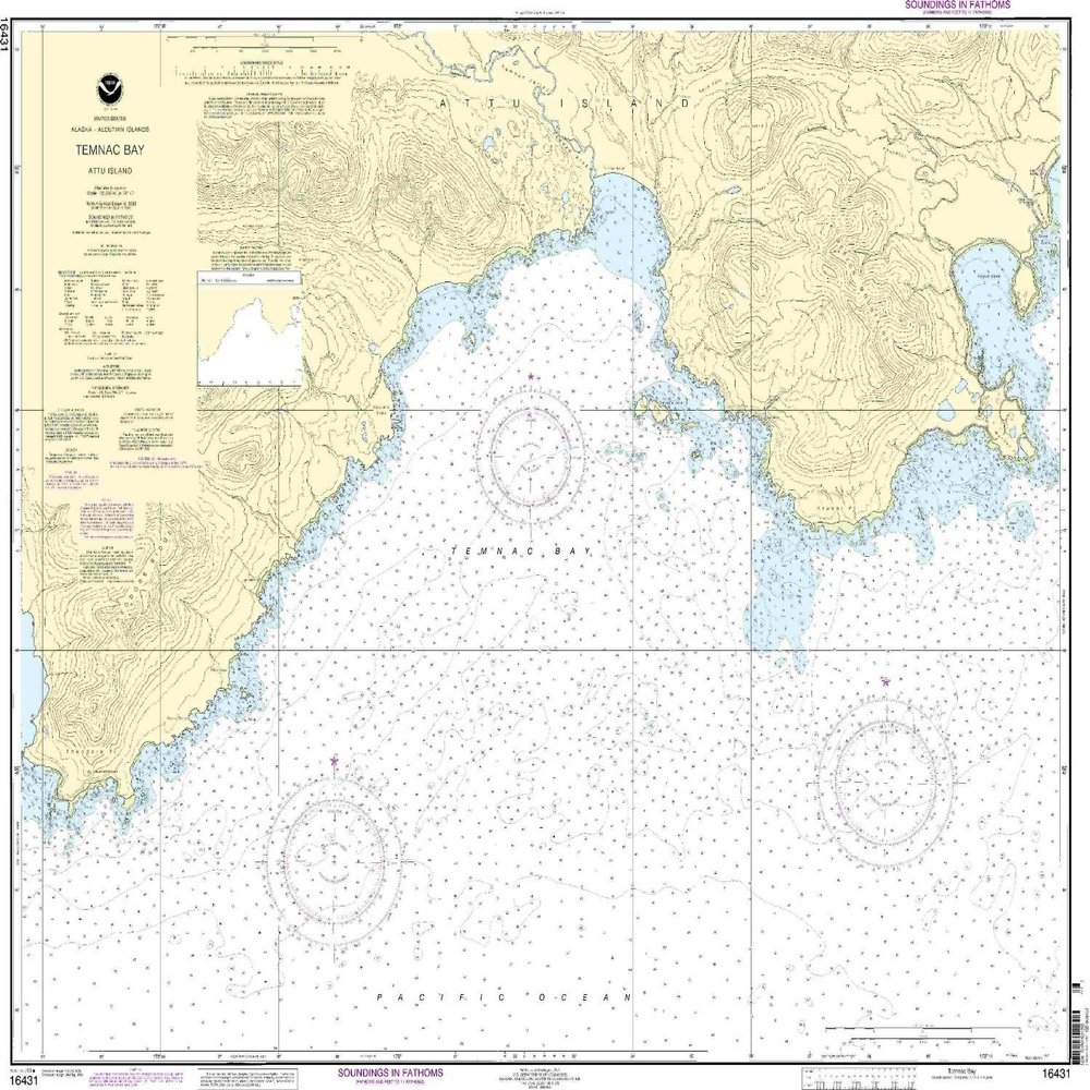 16431--Attu Island - Temnac Bay