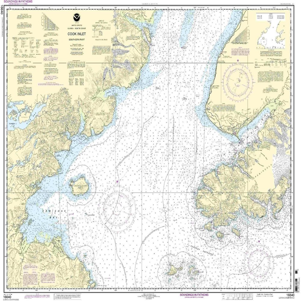 16640--Cook Inlet - southern part