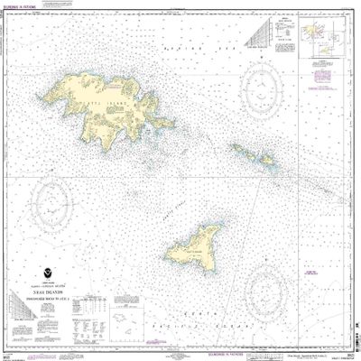 16421--Near Islands - Ingenstrem Rocks to Attu Island