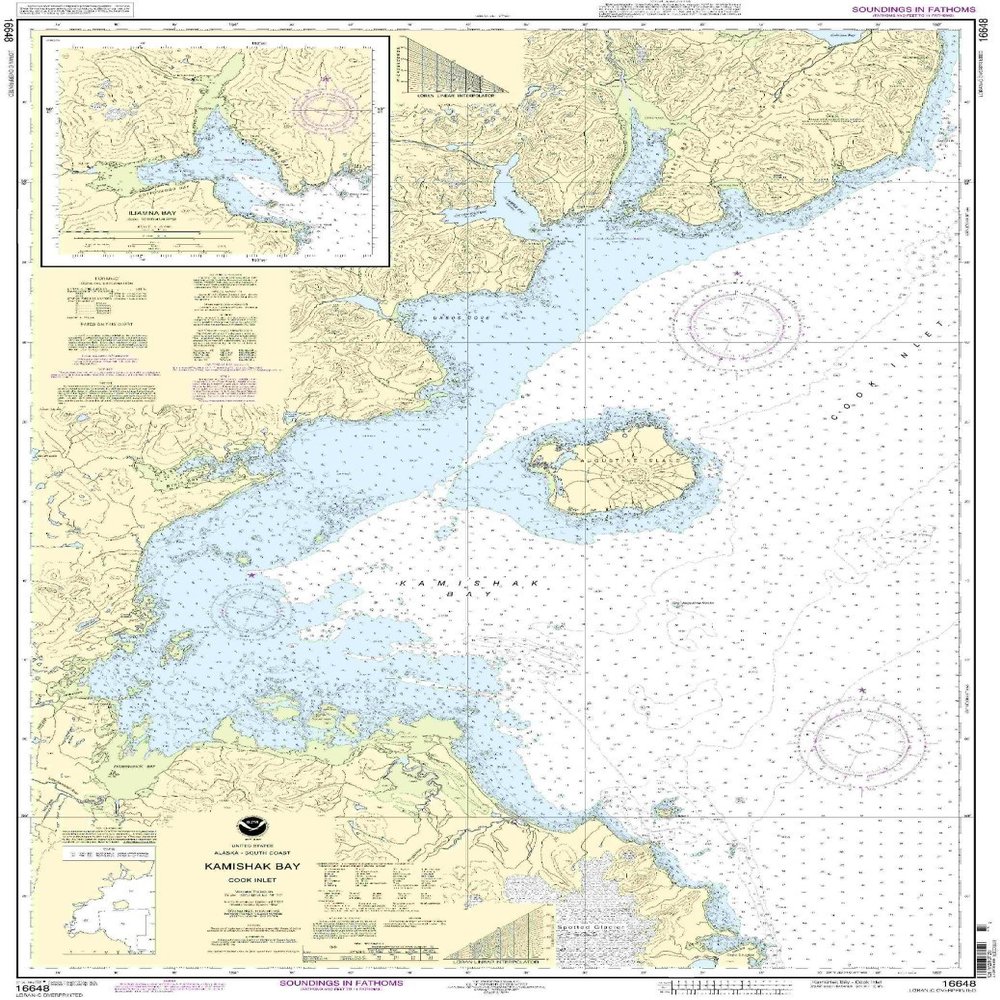 16648-Kamishak Bay, Iliamna Bay
