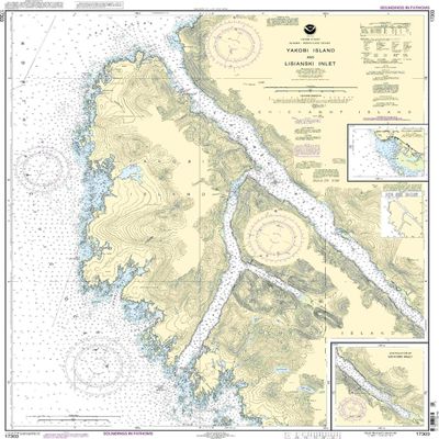 17303--Yakobi Island and Lisianski Inlet, Pelican Harbor