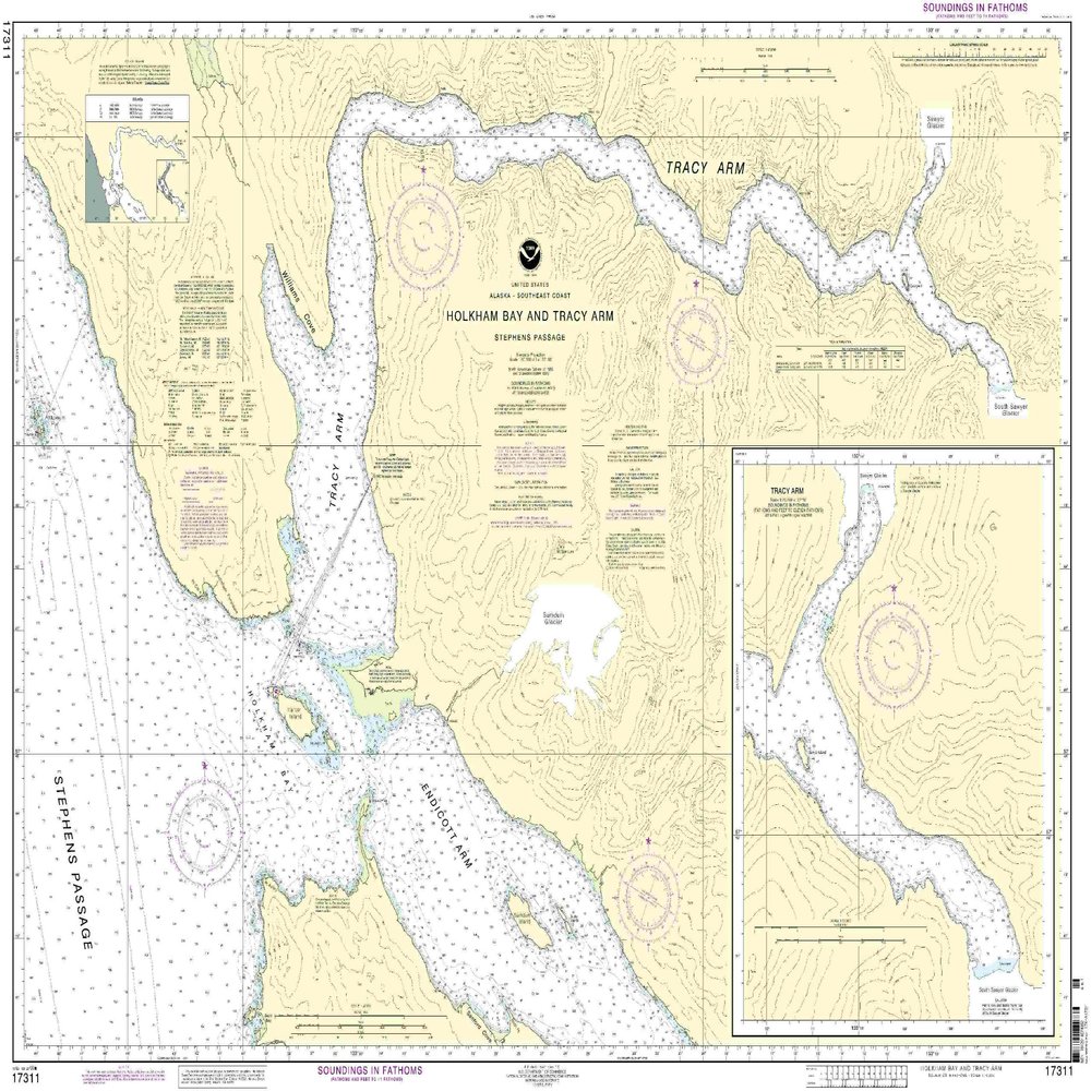 17311--Holkham Bay and Tracy Arm