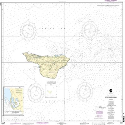 16381--St. George Island, Pribilof Islands