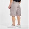 Dickies Mens 13-Inch Loose Fit Work Shorts  Durable Outdoor Uniform Shorts with Multi-Pockets for Men on The Job, Silver Gray, 32 view 2