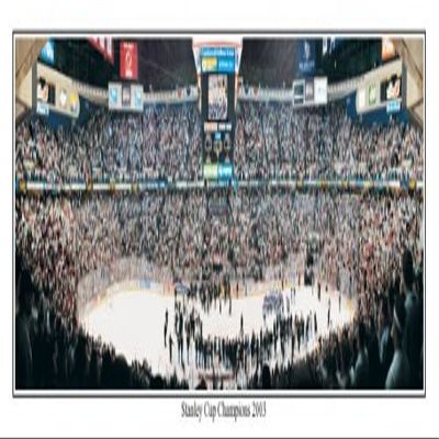 NHL New Jersey Devils Continental Airlines Arena Stadium, "Stanley Cup Champions 2003" Panoramic Print Unframed