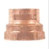 NIBCO 3/8 in. Copper C x FPT Female Adapter view 2