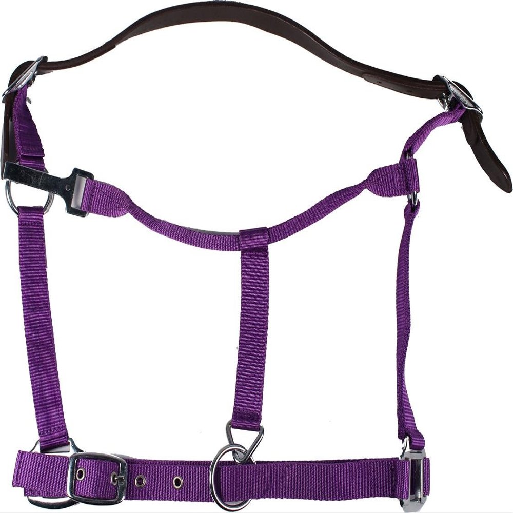 GATSBY LEATHER COMPANY Gatsby Breakaway Nylon Halter 284048