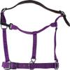 GATSBY LEATHER COMPANY Gatsby Breakaway Nylon Halter 284048