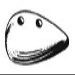 TEAR DROP FOR HULL 5 1/4"