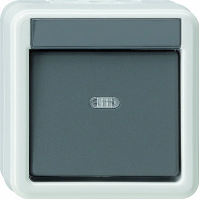 Gira 010730 Rocker Switch Cross Joint Wall-Mounted Fitting Water-Protected Grey