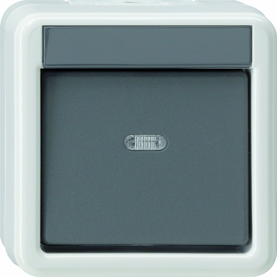 Gira 010730 Rocker Switch Cross Joint Wall-Mounted Fitting Water-Protected Grey