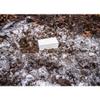Evoloved Attract Deer Co-Cain Block 4Lb view 4