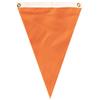 Single Pennant (2 ft. x 3 ft.) view 1