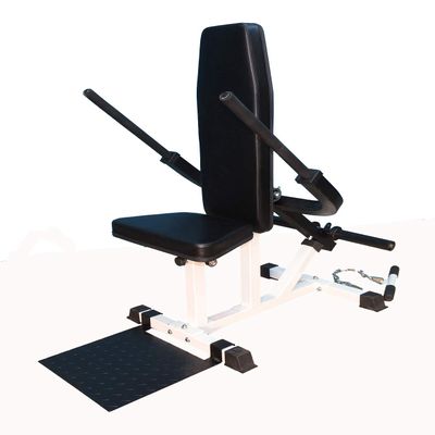 TDS Upper Body Developer: Grey Finish, Flat Adjustable Fitness Bench, Great for Upright Rows, Shrugs, Bend-Over Rows, Chest Press, Tricep Press, Crunch