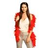Boland 52700  Feather Boa, 180 cm, Red view 2