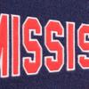 Michigan Wolverines Traditions Wool Pennant view 4