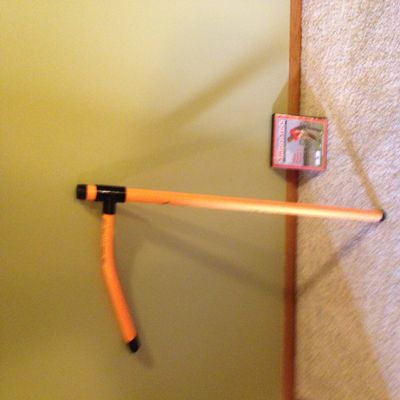 Smart Stick