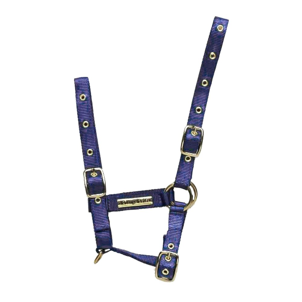 Cottage Craft Fully Adjustable Headcollar (Full) (Royal)