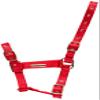 Cottage Craft Fully Adjustable Headcollar - Red, Full view 1
