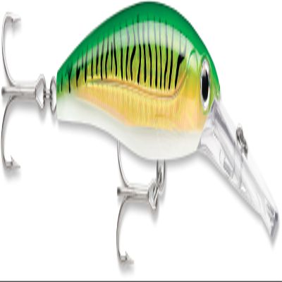 Rapala X-Rap Magnum Saltwater Trolling Lure, Offshore Hard Bait, Tuna Wahoo Mahi Fishing Lure, High Speed, 5-1/2", Gold Green Mackerel