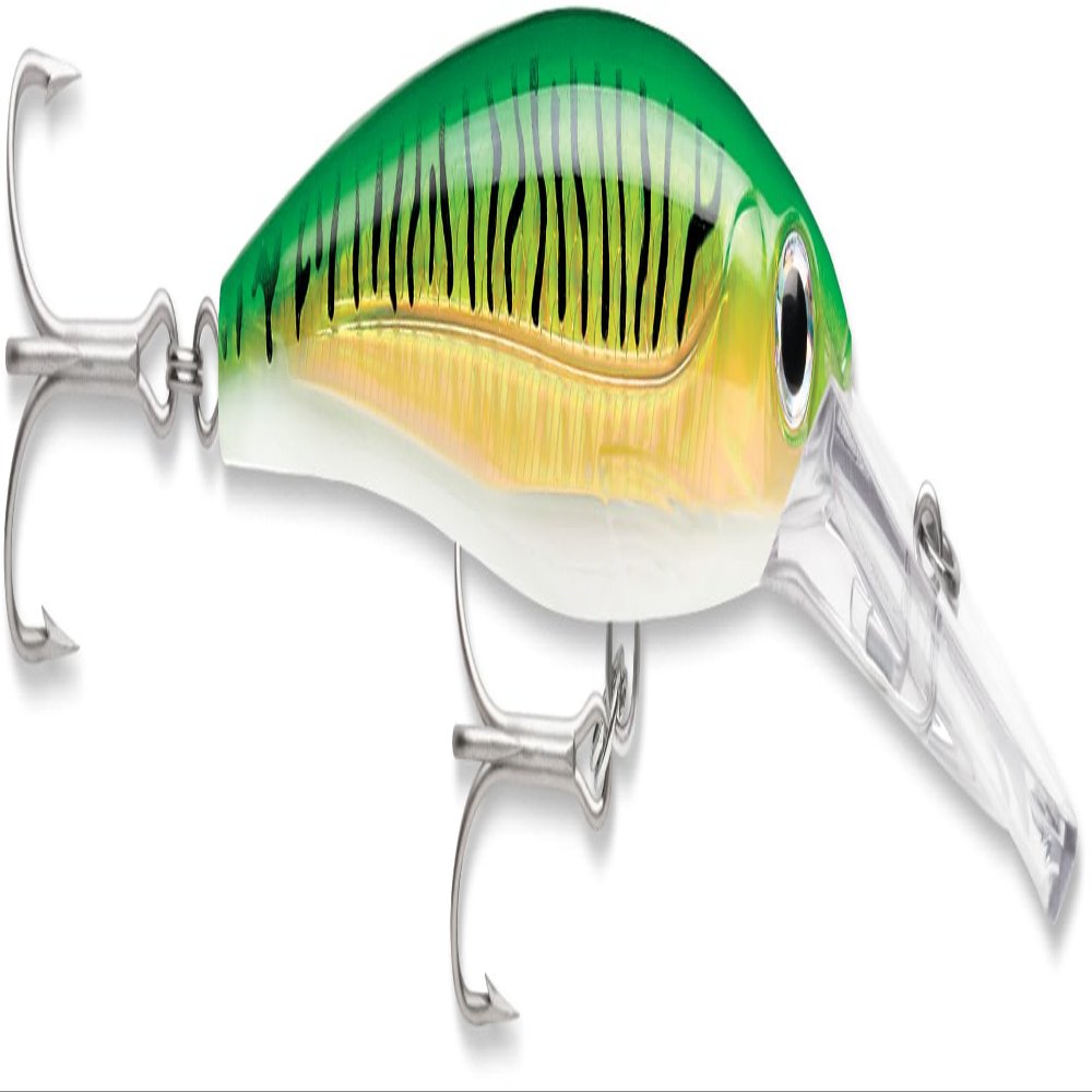Rapala X-Rap Magnum Saltwater Trolling Lure, Offshore Hard Bait, Tuna Wahoo Mahi Fishing Lure, High Speed, 5-1/2", Gold Green Mackerel