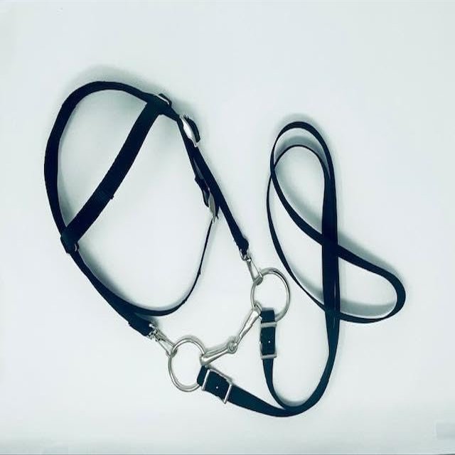Party Ponies Miniature Horse/Small Pony Nylon Bridle Black -Free BIT (Snaffle Style Varies)