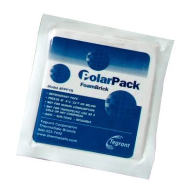 Polar Pack Foam Brick - 15 oz. (36/cs.)