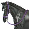Breyer 2474 Nylon Halters,Blue,Pink,Purple view 2