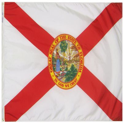 Annin Flagmakers Florida State Flag USA-Made to Official State Design Specifications, 3 x 5 Feet (Model 140960)