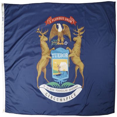 Annin Flagmakers Michigan State Flag USA-Made to Official State Design Specifications, 4 x 6 Feet (Model 142670)