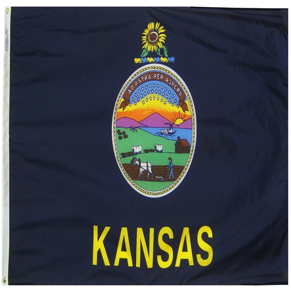 Annin Flagmakers Kansas State Flag USA-Made to Official State Design Specifications, 3 x 5 Feet (Model 141860)