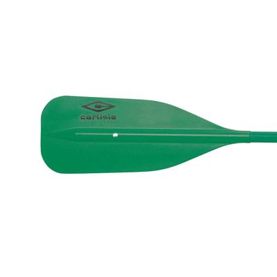 Carlisle Paddle Gear Standard Aluminum Canoe Paddle with T-Grip (Green, 54 Inches) (01.2515.9920)