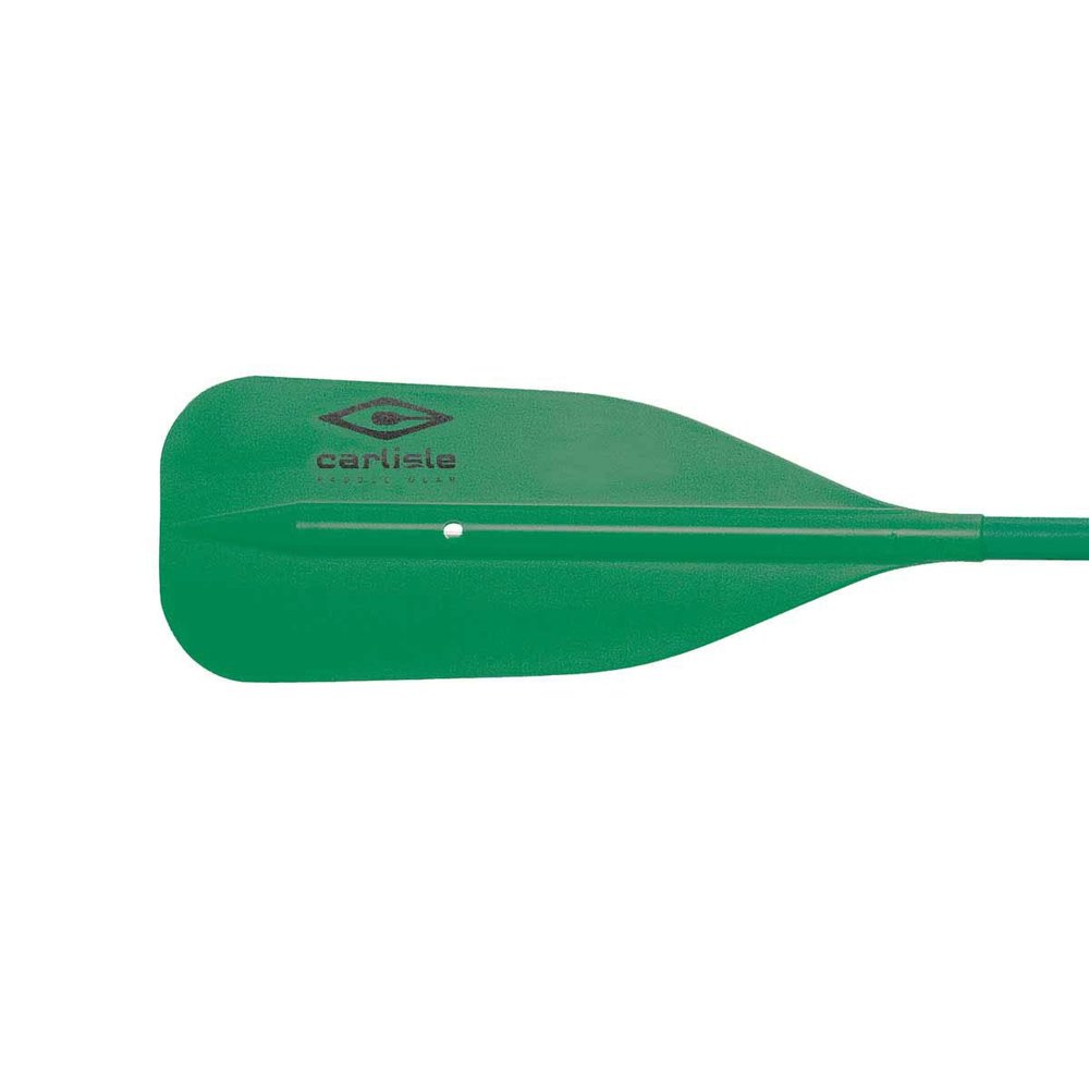 Carlisle Paddle Gear Standard Aluminum Canoe Paddle with T-Grip (Green, 54 Inches) (01.2515.9920)