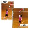 Molten VSUN Volleyball Serve Trainer Mesh Net for VSU, Set of 4 view 3